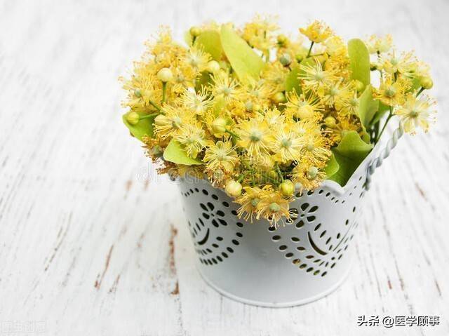 干部保健职责及干部医疗保健工开云体育 开云官网作制度(图7)