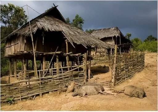 开云 开云体育APP巡回医疗在边陲——整