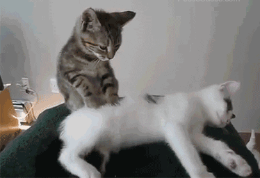 「我女的去体验大保健出来后整个人都麻了……」开云体育 开云官网(图6)