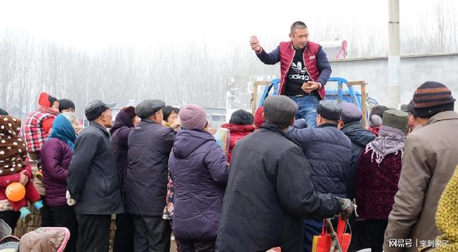 开云 开云体育官网认爹认娘？保健品推销员