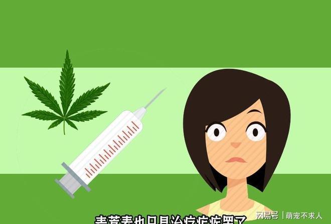 Kaiyun 开云这类“高科技”保健品不仅没用且还坑钱究竟你还要被忽悠多久？(图4)