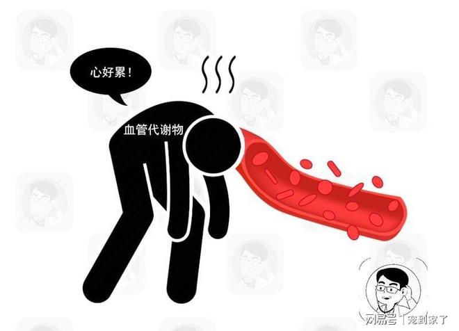 开云 开云体育官网被国人所迷恋的养生保健项目实则是一个不折不扣的大骗局(图3)