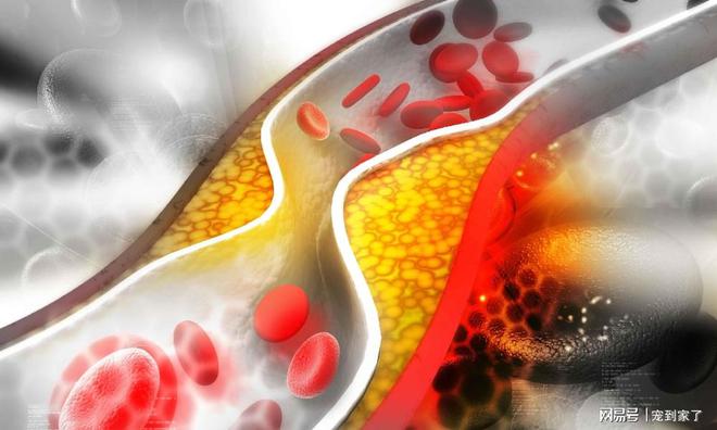 开云 开云体育官网被国人所迷恋的养生保健