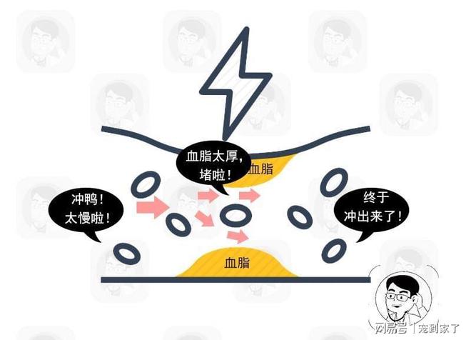 开云 开云体育官网被国人所迷恋的养生保健项目实则是一个不折不扣的大骗局(图7)