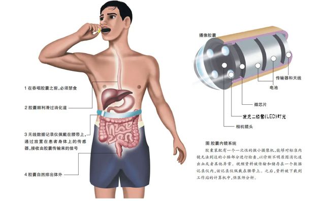 开云 开云体育APP梅奥诊所入股这一械企(图4)