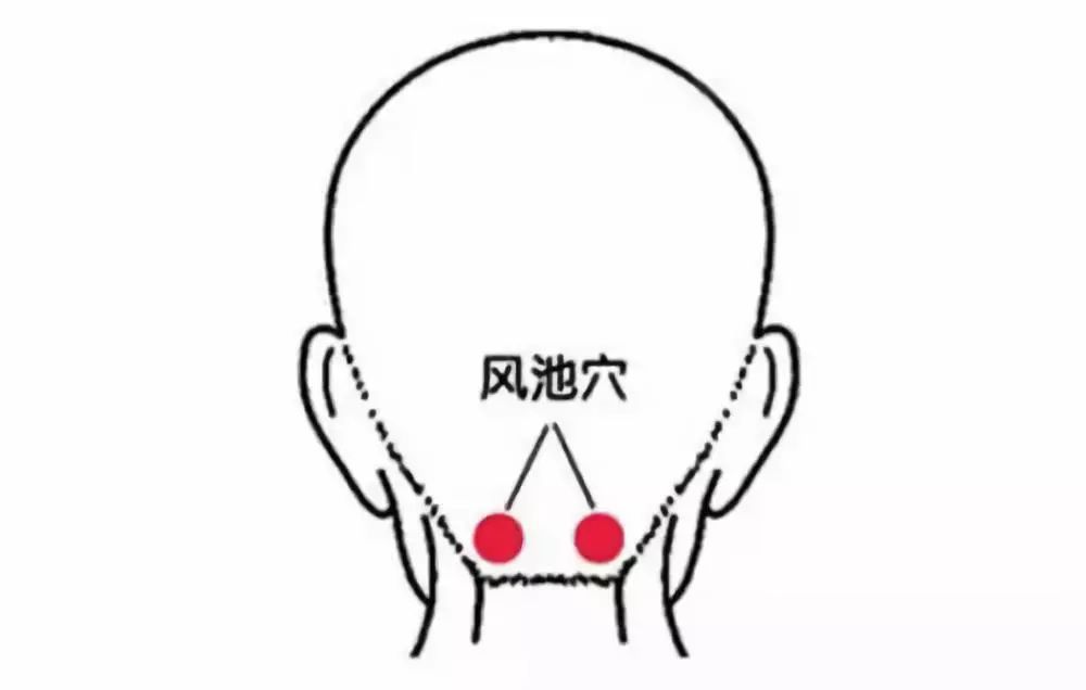 人体十大养生穴开云 开云体育APP