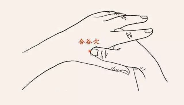 人体十大养生穴开云 开云体育APP(图4) 人体十大养生穴开云 开云体育APP(图4)