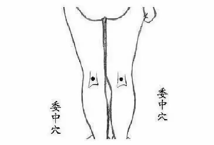 人体十大养生穴开云 开云体育APP(图5) 人体十大养生穴开云 开云体育APP(图5)