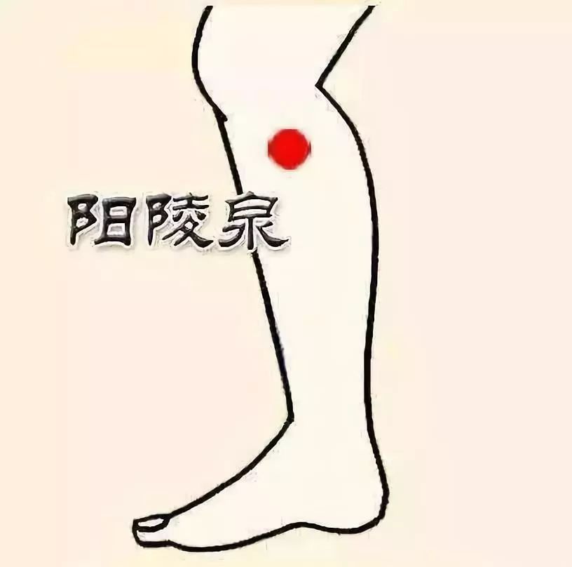 人体十大养生穴开云 开云体育APP(图6) 人体十大养生穴开云 开云体育APP(图6)