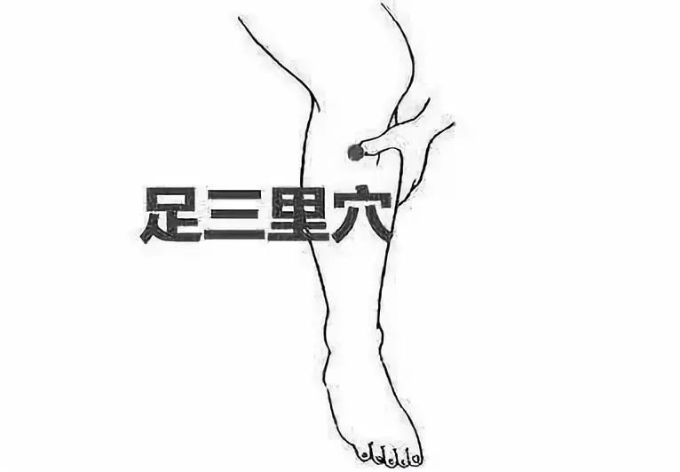 人体十大养生穴开云 开云体育APP(图8) 人体十大养生穴开云 开云体育APP(图8)