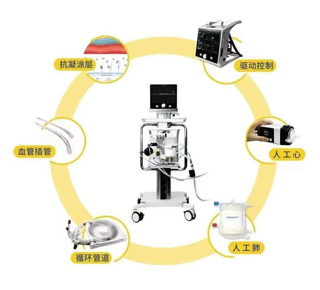 首个国产ECMO背后的人 投“市场开云体
