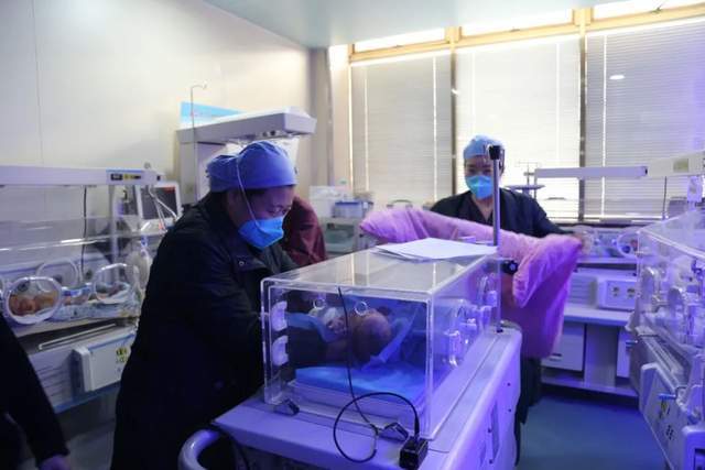 开云 开云体育APP激动！徐州市妇幼保健院喜迎新年首例三胞胎！(图3)