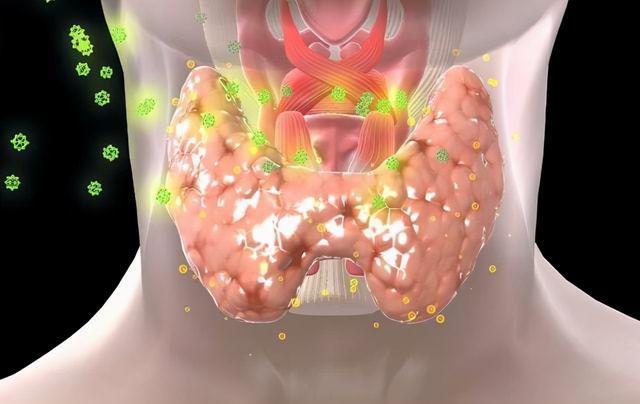 “无效治疗”应被曝光?医生坦言:很多手术无需做很多药不用吃Kaiyun 开云(图5) “无效治疗”应被曝光?医生坦言:很多手术无需做很多药不用吃Kaiyun 开云(图5)