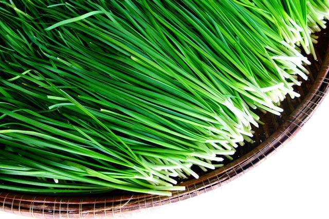 男性喝保健酒、吃韭菜、生蚝、鞭类能“强身”？你可能被忽悠了开云 开云体育APP(图5)