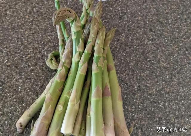 开云 开云体育官网保健蔬菜露笋可一次种植多次“不劳而获”注意6个“小问题”(图5)