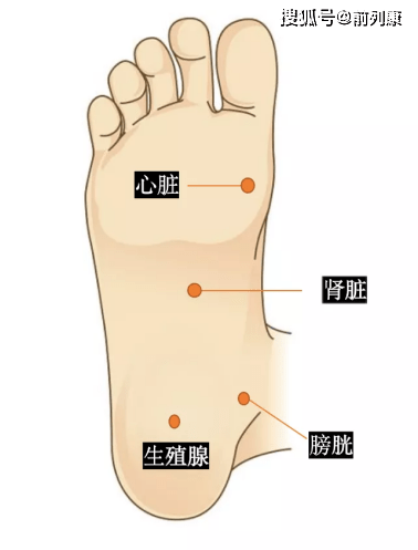 开云体育 开云平台大老爷们离不开的“大保