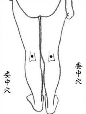 开云 开云体育官网人体有8个“养生窝”： 随时随地能按摩坚持下去健康看得见！(图7)