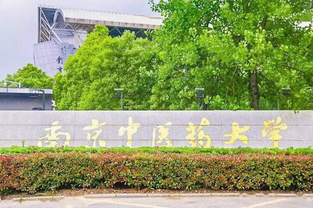 “大保健”3元一次!这所号称“皇家太”开云APP 开云官网入口的高校玩得有点花!(图5) “大保健”3元一次!这所号称“皇家太”开云APP 开云官网入口的高校玩得有点花!(图5)