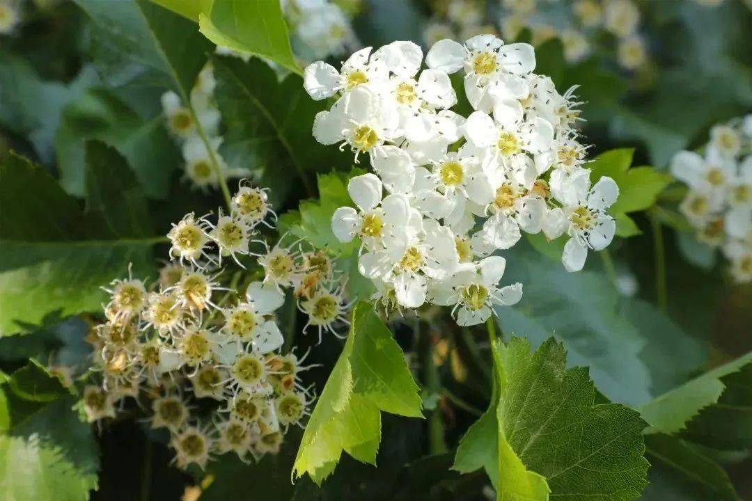 “大保健”3元一次!这所号称“皇家太”开云APP 开云官网入口的高校玩得有点花!(图8) “大保健”3元一次!这所号称“皇家太”开云APP 开云官网入口的高校玩得有点花!(图8)