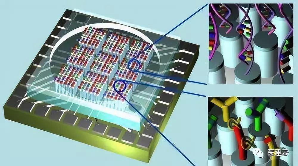 开云 开云体育官网国内医疗器械主要领域发展现状分析(图4) 开云 开云体育官网国内医疗器械主要领域发展现状分析(图4)