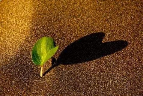 开云 开云体育官网互联网B2B采购新形式——医疗器械一站式配齐(图6)