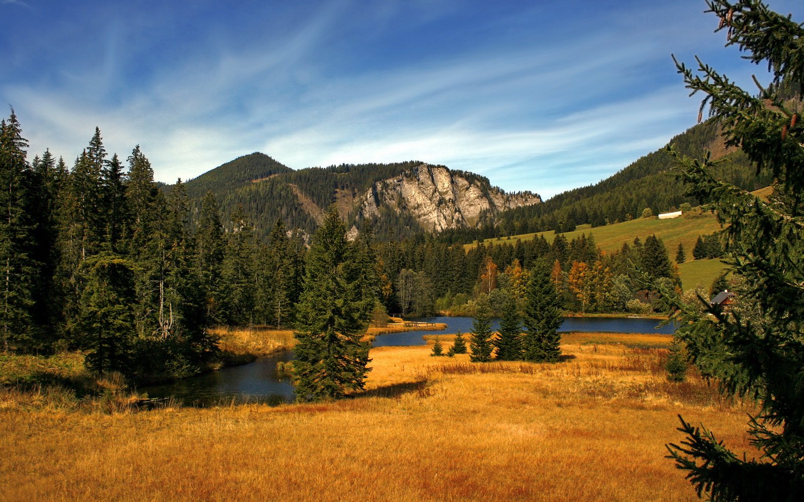 常用的医疗器械有开云 开云体育官网哪些