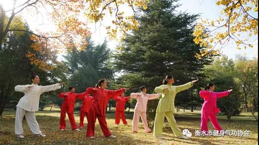 健身开云 开云体育官网气功成为国家倡导的养生保健方法(图2) 健身开云 开云体育官网气功成为国家倡导的养生保健方法(图2)