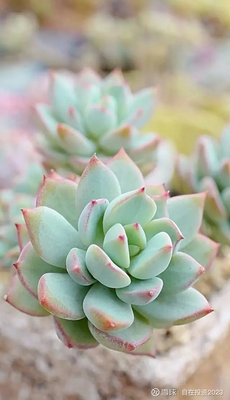 开云体育 开云官网2023年9月11日 