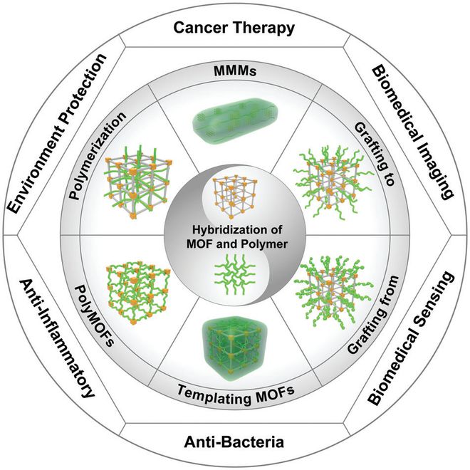 开云 开云体育平台《AM》金属有机框架满