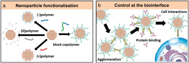 开云 开云体育平台《AM》金属有机框架满足聚合物：从合成策略到医疗保健应用(图4)