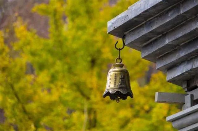 Kaiyun 开云体育明丽秋游美诗六首:宋玉悲秋我爱秋清秋行乐胜春游(图3) Kaiyun 开云体育明丽秋游美诗六首:宋玉悲秋我爱秋清秋行乐胜春游(图3)