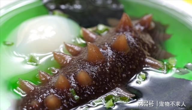 深扒6种被吹上天的保开云 开云体育平台健品实则骗钱又伤身(图3)