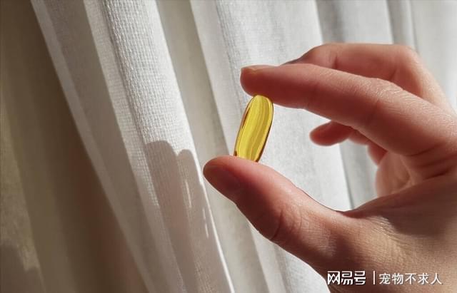 深扒6种被吹上天的保开云 开云体育平台健品实则骗钱又伤身(图2)