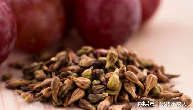 深扒6种被吹上天的保开云 开云体育平台健品实则骗钱又伤身(图4)