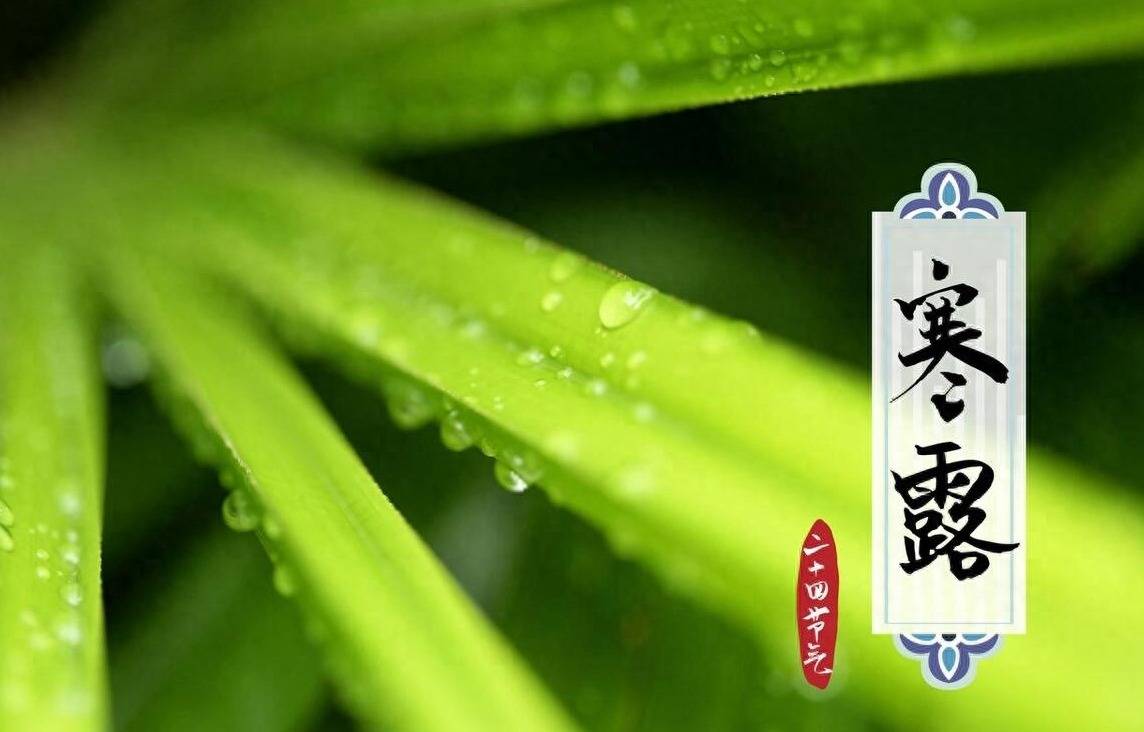 寒露节就要到了关于开云APP 开云官网入口寒露节的俗语有哪些怎么理解有科学道理？(图3)