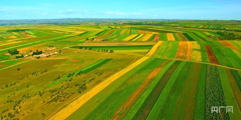 开云APP 开云官网入口“丰”从草原来｜