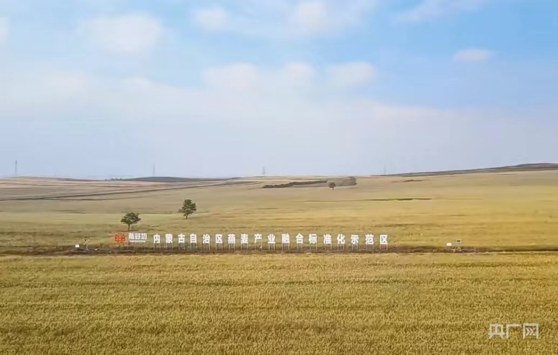 开云APP 开云官网入口“丰”从草原来｜武川变身记：阴山冷凉地成就高原特色农产品生产“高地”(图3)