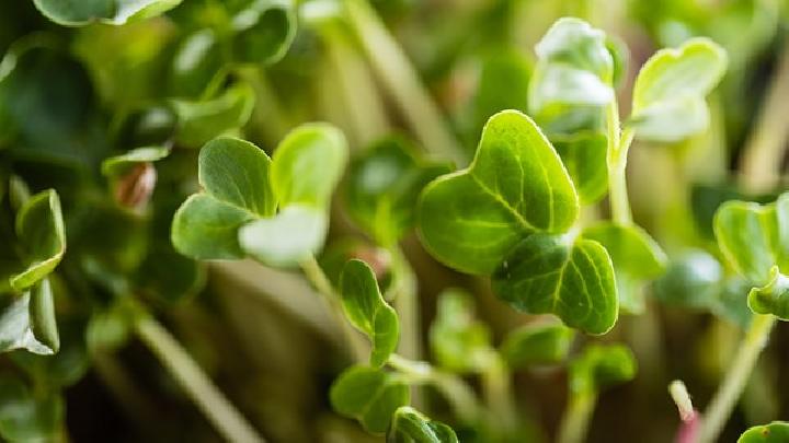 开云体育 Kaiyun.com 官网入口