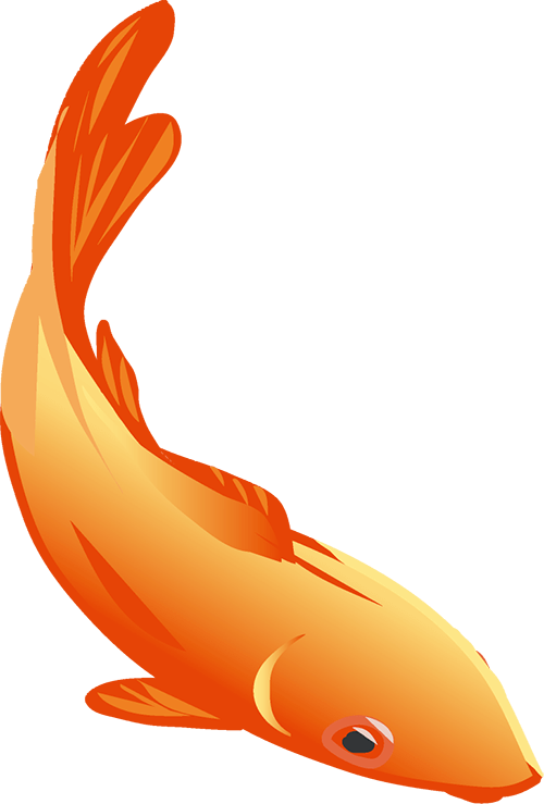 开云APP 开云官网入口【健康科普】常听