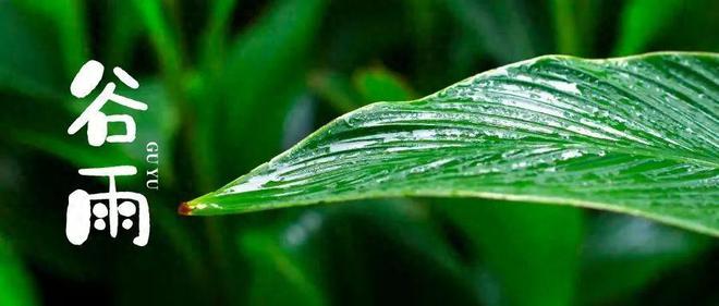 开云体育 Kaiyun.com 官网入口