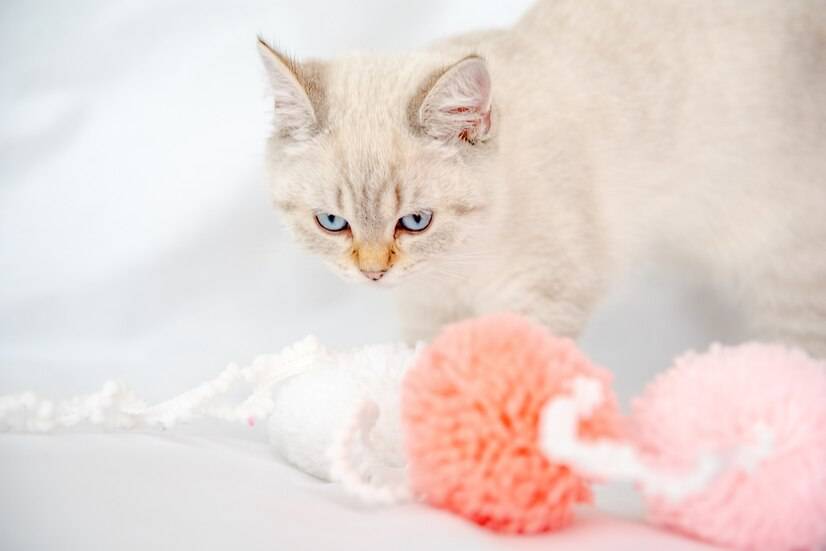 Kaiyun 开云体育猫驱虫药十大品牌排行榜(图6)