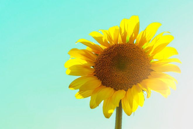 医疗器械经营监督管理办法第54Kaiyun 开云体育号令已施行(图2)