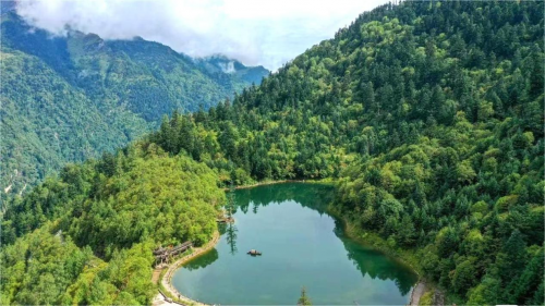 第十一届世界健康产业大会：思畅矿泉致力于让国人喝出健康开云体育 开云官网(图3)