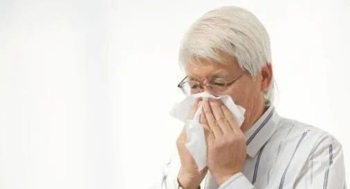 关于蜂花粉你不知道的秘密开云体育 开云官网(图5)