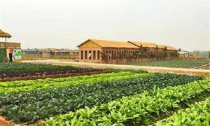 男性保健品市场深度分析 中国男性健康保健市场力巨大开云体育 开云平台(图2)