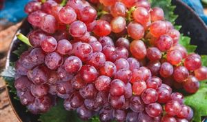 开云体育 开云官网2023男性保健药品行业市场需求及现状分析(图7)