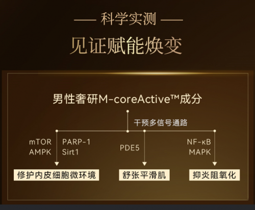 开云体育 Kaiyun.com 官网入口精倍莱MEN’S PREMIUM：赛乐瑞明星单品关注男士健康(图4)