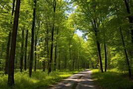 2023男性保健药品行业市场竞争开云 开云体育平台及发展潜力分析(图2)