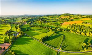 2023男性保健药品行业市场竞争开云 开云体育平台及发展潜力分析(图7)