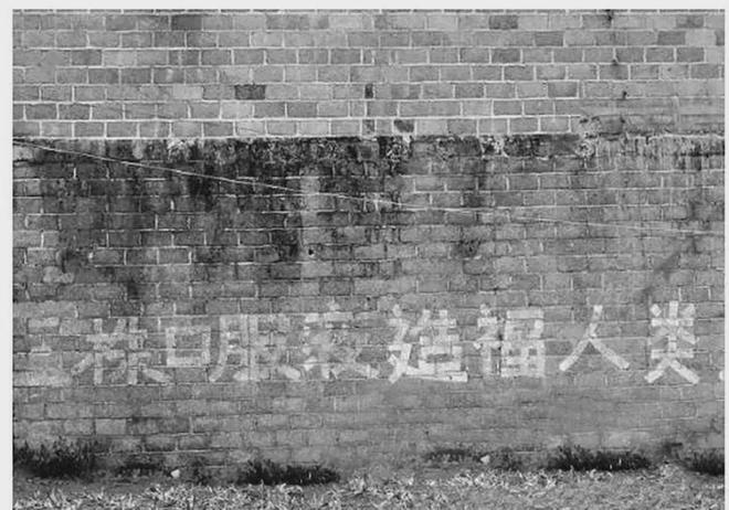 跌落神坛的五大保健品全都是妥妥的智商税开云体育 开云官网你吃过几种？(图13)